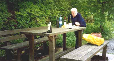 Sal208.JPG (15335 byte)