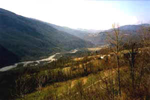 Podib07.JPG (7591 byte)