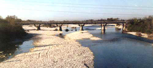 Sgiov06.JPG (14631 byte)