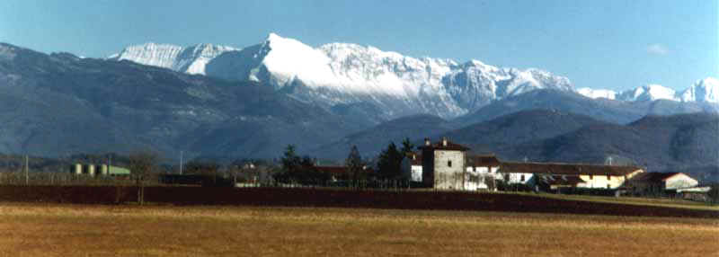 Ippl04.JPG (17503 byte)