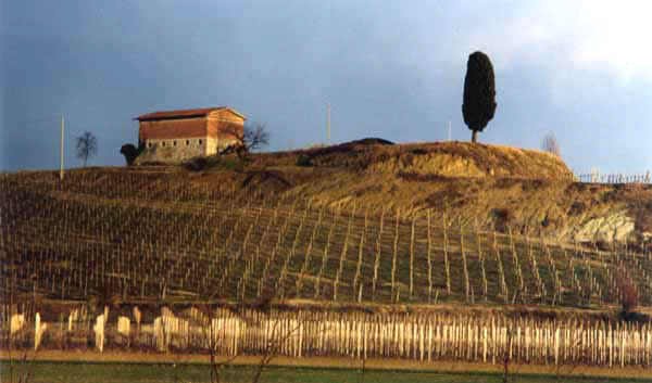 Ippl7.JPG (25509 byte)