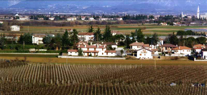 Ipplis02.JPG (58376 byte)