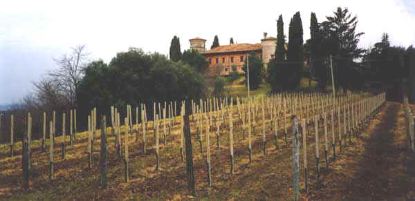 Rocca03.JPG (21206 byte)