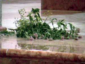 Sleon04.jpg (9751 byte)