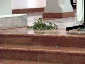 Sleon05.jpg (7601 byte)