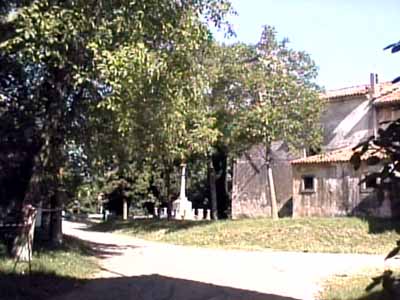 Sensa.JPG (23497 byte)