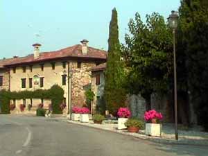 Camino01.JPG (10157 byte)