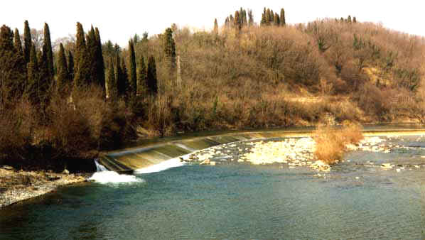 Manz04.JPG (26560 byte)