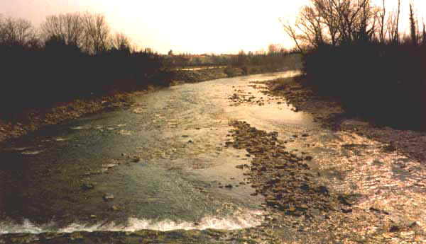 Manz05.JPG (29861 byte)