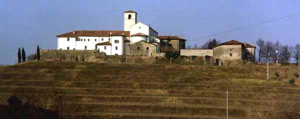 Manz07.JPG (14527 byte)