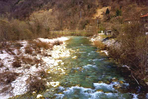 Mia04.JPG (40357 byte)