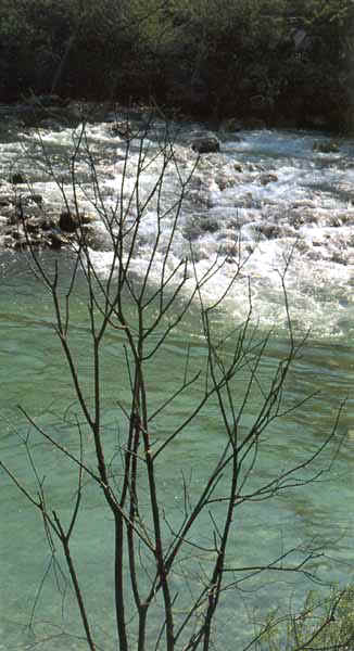 Pulf02.JPG (30637 byte)