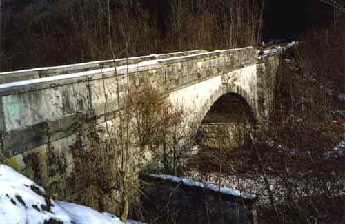 Pvitt03.JPG (26196 byte)