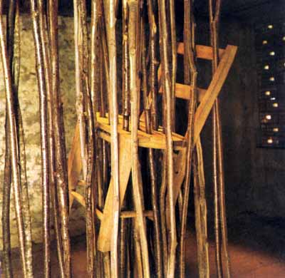 Topolo03.JPG (25789 byte)