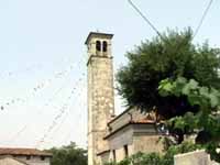 Fir01.jpg (5179 byte)