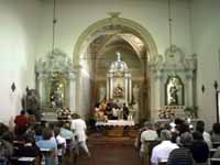 Fir06.jpg (5691 byte)