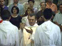 Fir07.jpg (5494 byte)