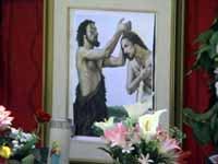 Fir11.jpg (5604 byte)