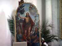 Fir13.jpg (4945 byte)