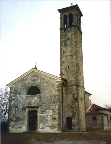 Fir3.jpg (19691 byte)